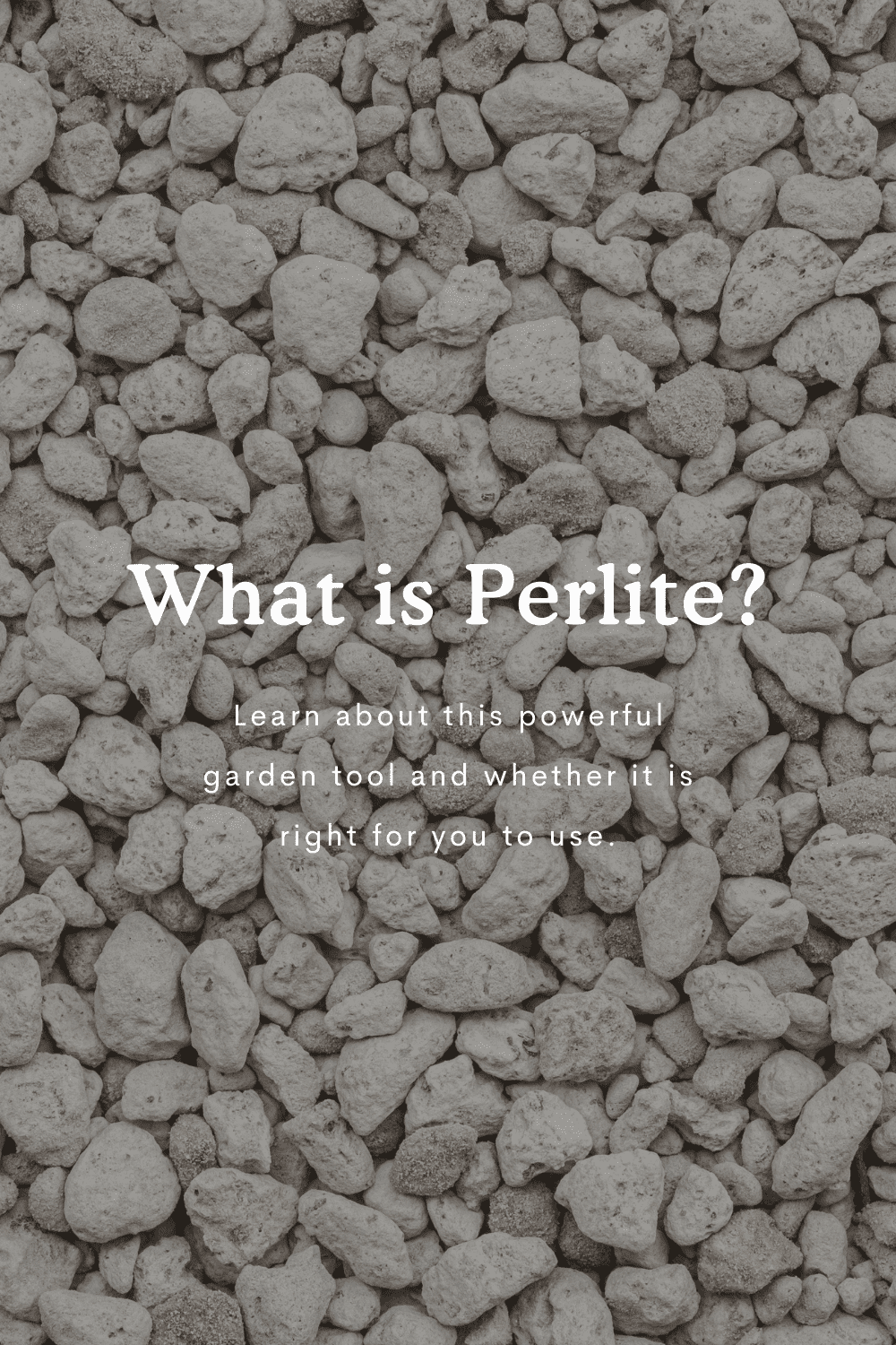 What is Perlite and How to Use It In The Garden